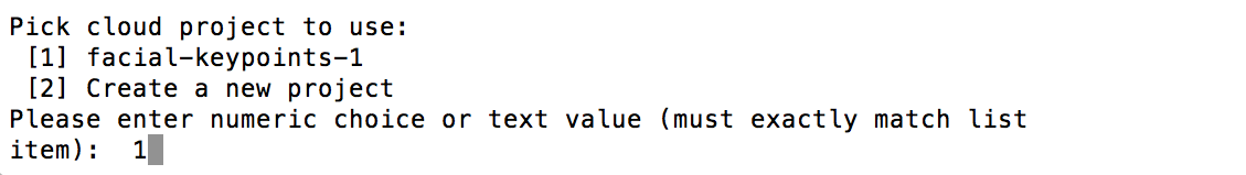 Selecting a project via Terminal window.