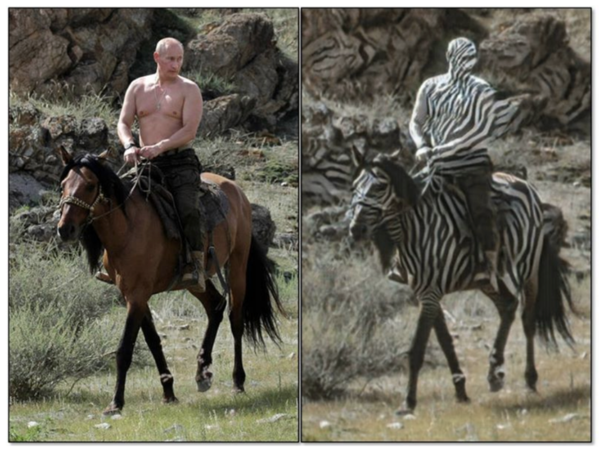 A horses to zebra transformation.