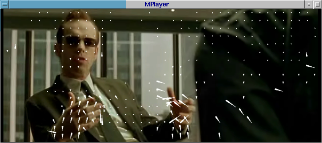 Example of motion vector analysis.