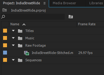 While not explicitly required, creating bins for your project will greatly help you organize your work.